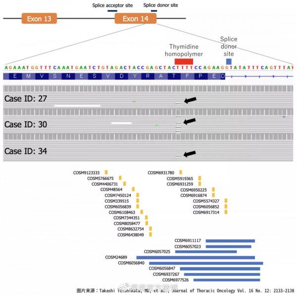 基因檢測報告並非金標準，參考用藥要謹慎