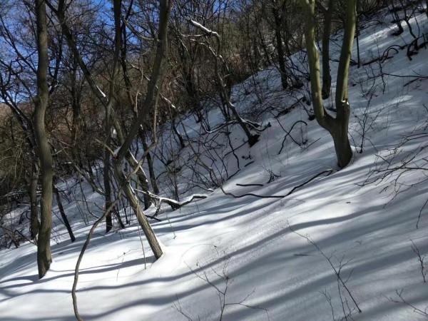 抱龍峪雪景