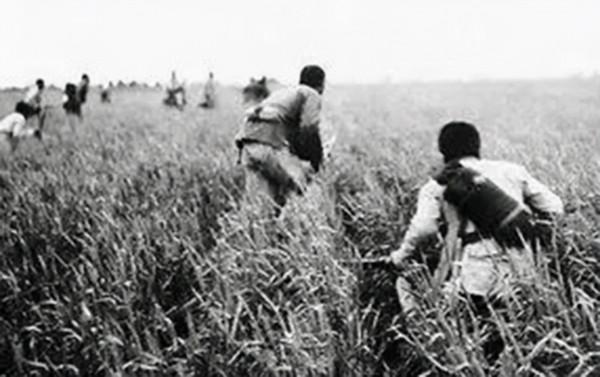 劉伯承介紹游擊戰,國軍不屑,劉:我保證11時能吃上日軍送的午餐 劉伯承介紹游擊戰,國軍不屑,劉:我保證11時能吃上日軍送的午餐