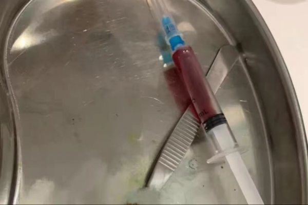 貓咪耳朵腫了，手術費用2000！我們應該怎麼避免疾病再次出現呢？