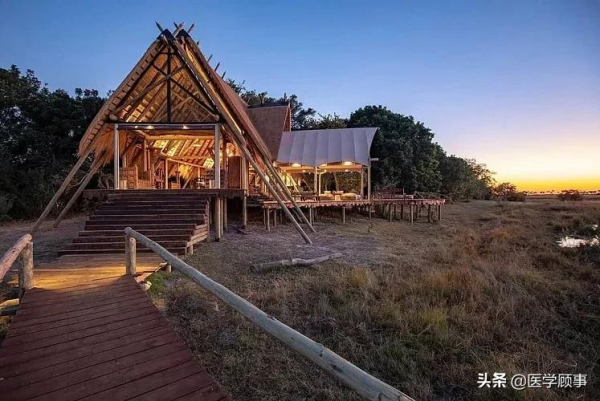 非洲自然界酒店