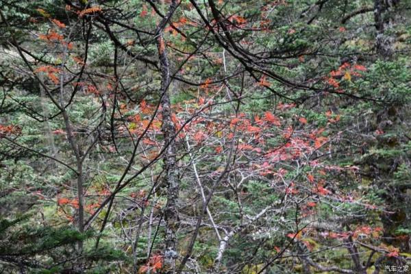 川西小環線四日遊 川西小環線四日遊