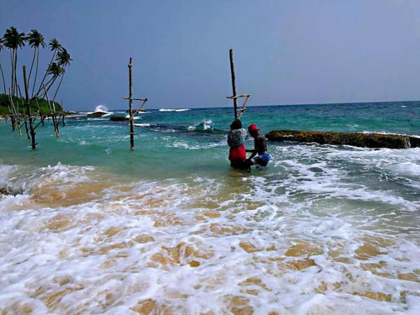 斯里蘭卡之旅（22）在科格勒(Koggala )體驗高蹺釣魚