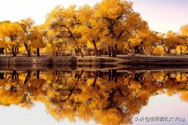 行者無疆，我們一直在路上