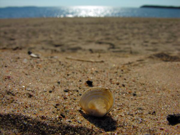 從赤貧到輕奢 細數歷年來校舍風格的歷史變遷（二）
