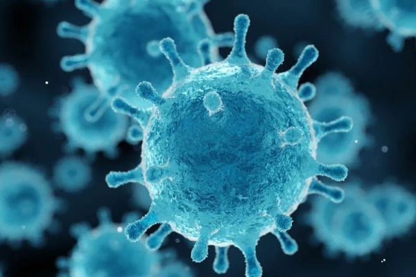 人類為何不敢同類相食?一旦染上致死率100%,揭露人類基因的秘密 人類為何不敢同類相食?一旦染上致死率100%,揭露人類基因的秘密