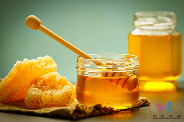 科普 | 長期吃蜂蜜會致癌、致畸？和蔥一起吃，會中毒？真相，拿來吧你…