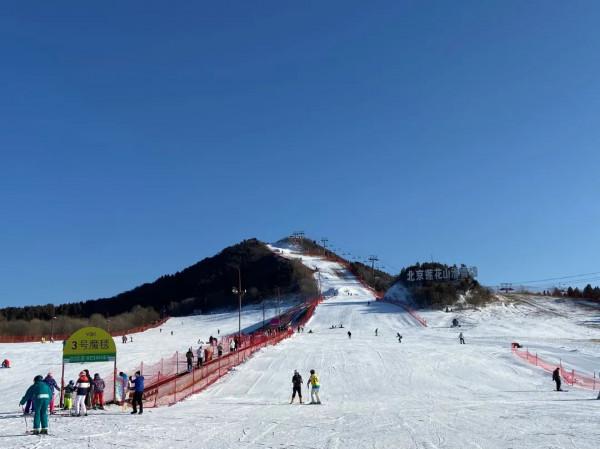 元旦去哪玩？賞花燈、看錶演、戲冰雪……