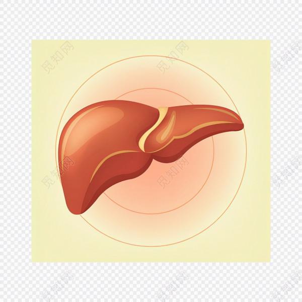 甲肝應該如何治療 甲肝應該如何治療