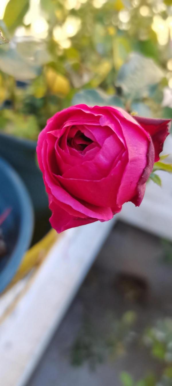 一站有一站的風景，一歲有一歲的悲喜