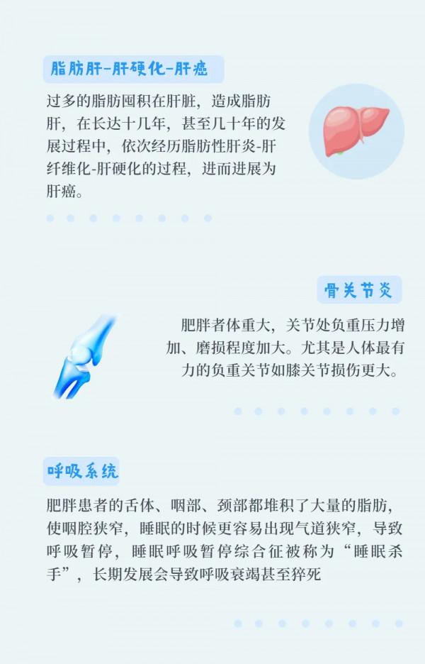 一胖毀所有，可不是個玩笑話！肥胖的危害遠比你想象的多