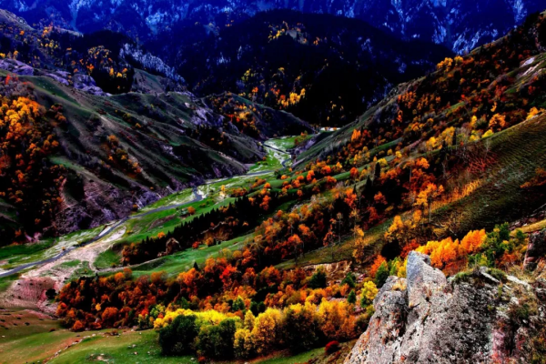 天山草原——伊犁河谷