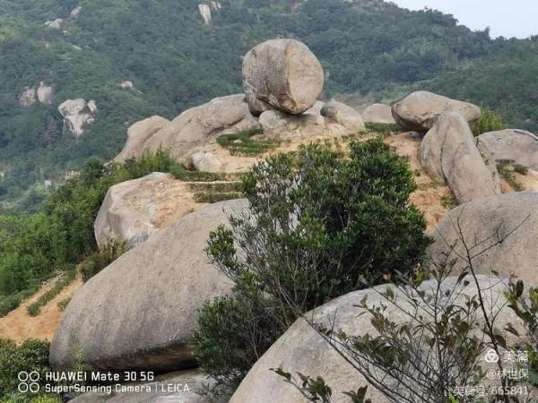 朋友圈2021年第31期