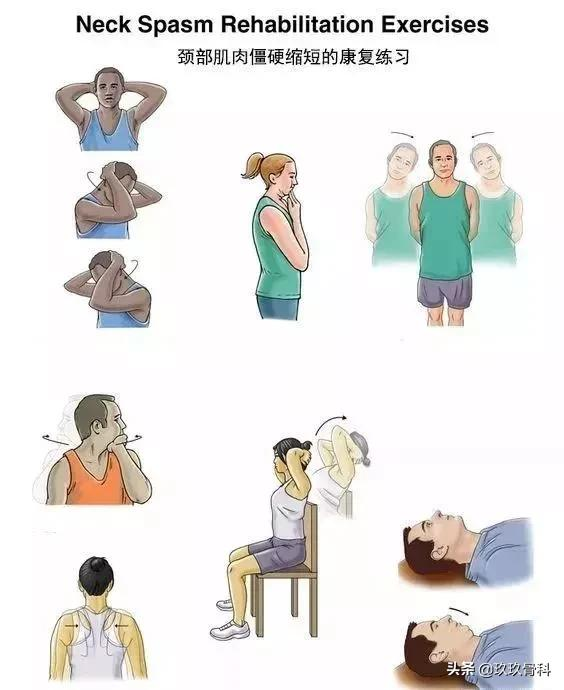 10套頸、肩、背、腰、腿的疼痛康復練習序列