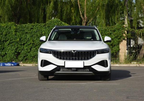 ​賽道好手嵐圖FREE,扭矩1040N·m,配空氣懸架倍耐力輪胎,成標杆 ​賽道好手嵐圖FREE,扭矩1040N·m,配空氣懸架倍耐力輪胎,成標杆