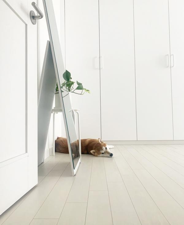 比起日式，極簡風的家更得我心，大白牆純粹乾淨到像一張“白紙”