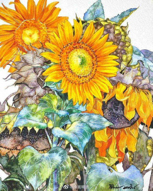 這位泰國畫家筆下的向日葵,每一朵都有生命和靈魂 這位泰國畫家筆下的向日葵,每一朵都有生命和靈魂
