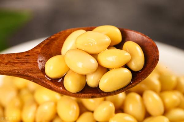 6種豆，養生功效各不同