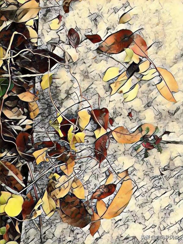 你走，我不送你