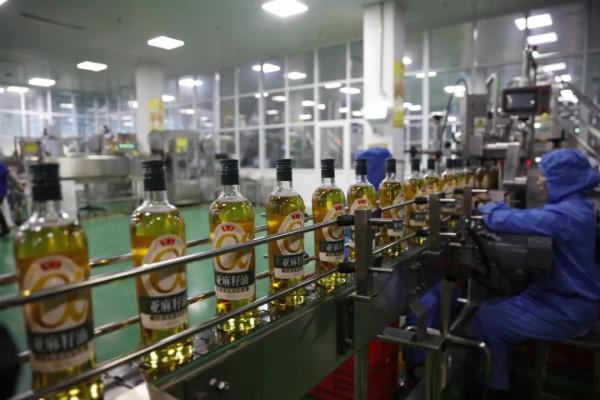 民族品牌的驕子,為什麼是魯花? 民族品牌的驕子,為什麼是魯花?