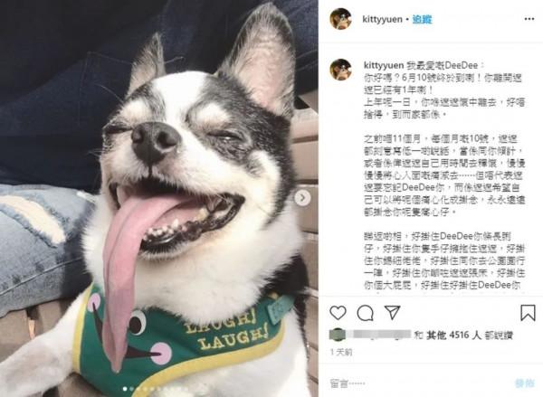 52歲主持人阮小儀養狗為樂，愛犬去世後，用1年時間才走出悲痛