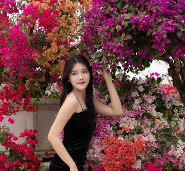 中秋將至，三角梅即將全面盛開，快來粵龍山花海世界打卡