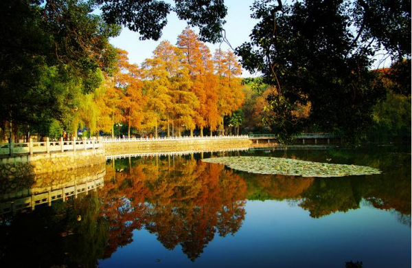 國內十大最美校園名單出爐，學校也開始拼顏值，學習生活兩不誤