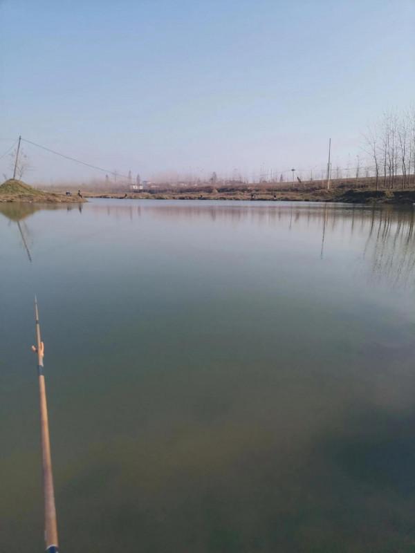 冬季怎樣才能釣到大板鯽？