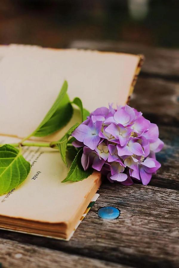 淡泊寧靜 守住人生最美風景