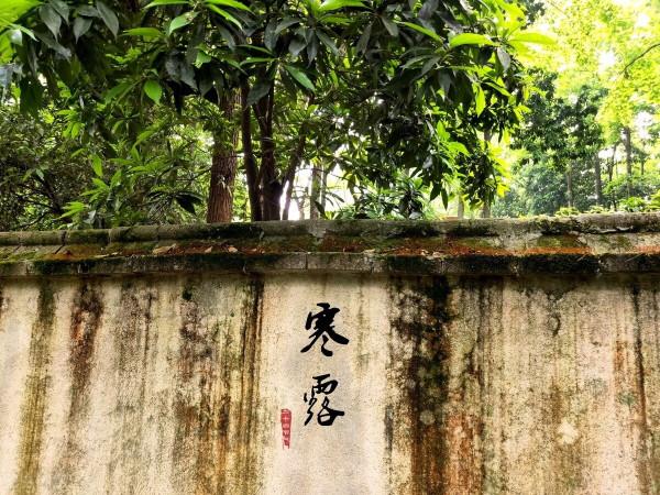 寒露前後，多喝5道營養湯，溫暖營養足，家人特別愛喝