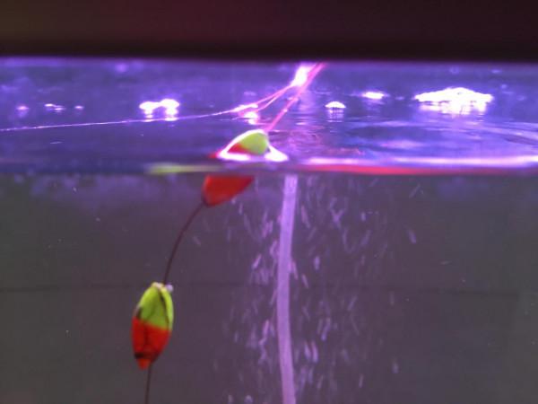 論靈敏度，有比朝天鉤更厲害的嗎？天冷必選釣法，沒有之一