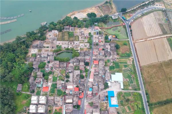 廣東陽江有個漁村,年產值一個多億,名字起得好奇怪,居然不認識 廣東陽江有個漁村,年產值一個多億,名字起得好奇怪,居然不認識