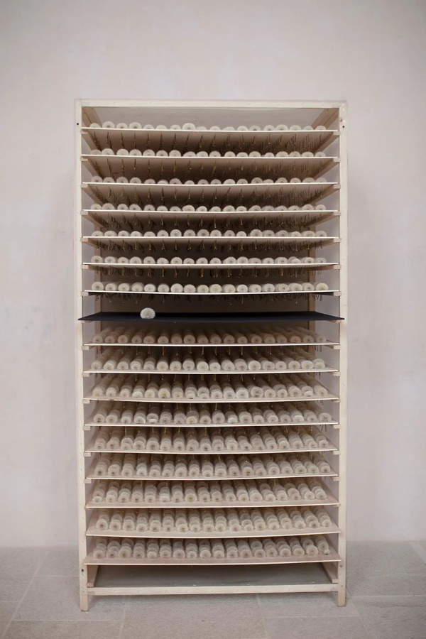 這種藝術雖然沒拿起畫筆,但更有意義 這種藝術雖然沒拿起畫筆,但更有意義