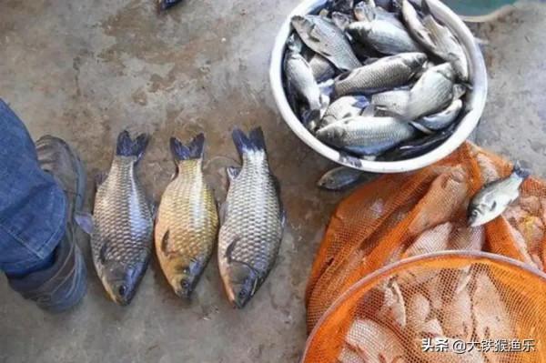 晚秋魚也怕冷,別再傻坐一整天了,野釣請記住這五釣五不釣 晚秋魚也怕冷,別再傻坐一整天了,野釣請記住這五釣五不釣