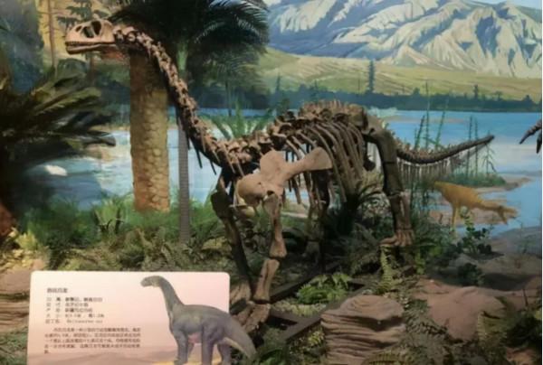 恐龍科普第3期：5種恐龍身上不為人知的秘密