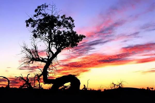 「陝西」楊長有｜你是一壺陳釀