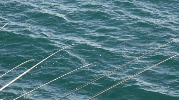 小寒過後，能否避開這5個&OpenCurlyDoubleQuote;雷區&rdquo;，將是釣魚的關鍵，信不信由你