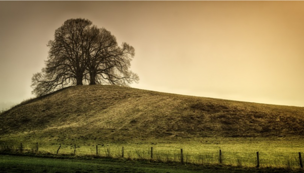 哪怕被小瞧，也要活出強大的星座，內心充滿了鬥志，不會低頭認輸