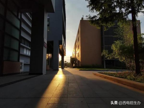 國際關注！這一世界級大獎名單公佈，陝西“硬核”教授獲全球表彰