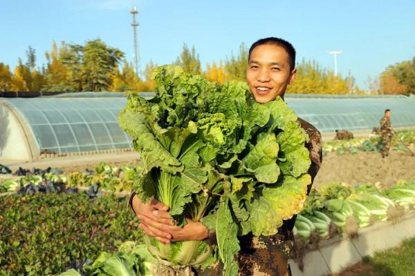小崗位、大作為,走近軍中“專業兵” 小崗位、大作為,走近軍中“專業兵”