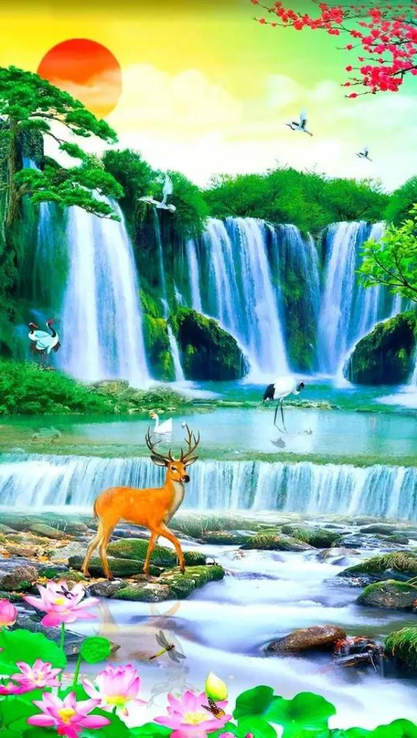 大自然的美，真的讓人羨慕