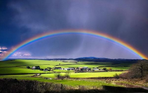 市值蒸發十萬億！網際網路企業在渡劫還是涅槃？