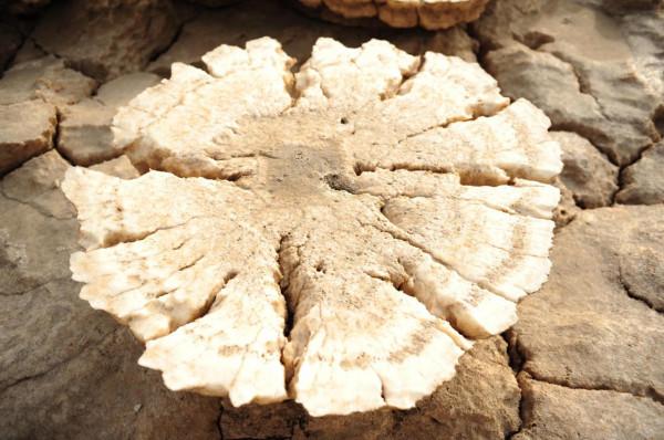 “再見地球！火星你好！”神奇如阿凡達的地方，你知道在哪兒嗎？