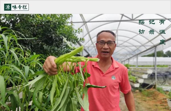 投入2000萬苦研“魚菜共生”,只為讓更多人平價吃到頂級食材 投入2000萬苦研“魚菜共生”,只為讓更多人平價吃到頂級食材