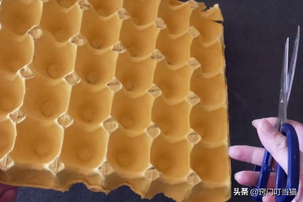 賣廢品時,雞蛋托盤一定要留下,改造後放陽臺上,全家人都誇好 賣廢品時,雞蛋托盤一定要留下,改造後放陽臺上,全家人都誇好