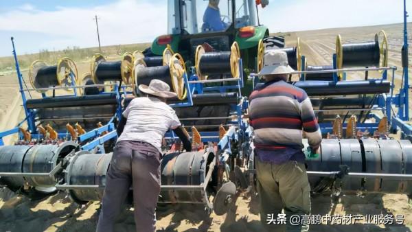 高鵬說藥材:當前中藥材行業正處於變革調整期,從業者如何應對? 高鵬說藥材:當前中藥材行業正處於變革調整期,從業者如何應對?