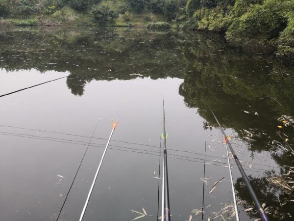 如何選釣位以及水深？迷惑眾多，懇請大師指點迷津