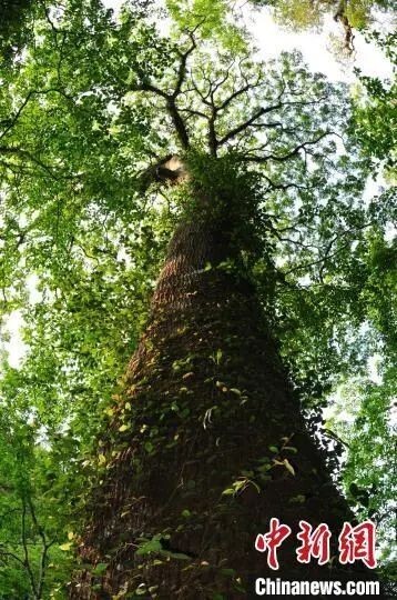 為什麼是雲南？看完我就開始查機票了……
