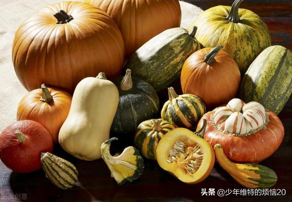 後天立冬了,這“8種”蔬菜多囤點,好吃易儲存,想吃不用經常買 後天立冬了,這“8種”蔬菜多囤點,好吃易儲存,想吃不用經常買