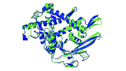 諾獎得主給復旦本科生上課，邀理工科學生研究這個前沿交叉學科